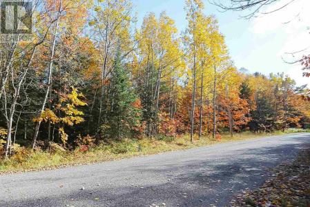 LOT 14&15 NOKOMIS BEACH RD, Sault Ste. Marie, オンタリオ P6A 5K6, カナダ