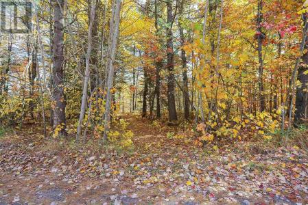 LOT 14&15 NOKOMIS BEACH RD, Sault Ste. Marie, Ontario P6A 5K6, Canada