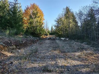 LOT 11 GOLDSTREAM HEIGHTS DR, Shawnigan Lake, British Columbia V0R 2W3, Canada
