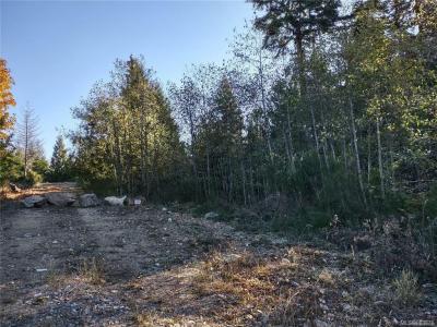 LOT 11 GOLDSTREAM HEIGHTS DR, Shawnigan Lake, British Columbia V0R 2W3, Canada
