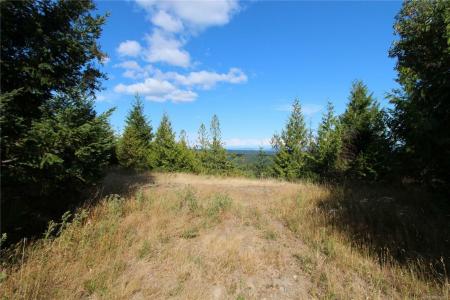 LOT 29 GOLDSTREAM HEIGHTS DR, Shawnigan Lake, British Columbia V0R 2L0, Canada