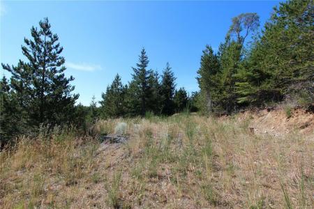 LOT 40 GOLDSTREAM HEIGHTS DR, Shawnigan Lake, British Columbia V0R 2W3, Canada