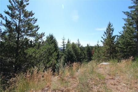 LOT 40 GOLDSTREAM HEIGHTS DR, Shawnigan Lake, British Columbia V0R 2W3, Canada