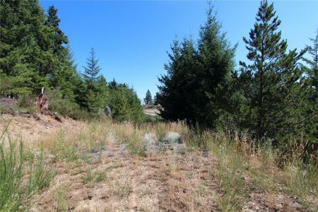 LOT 40 GOLDSTREAM HEIGHTS DR, Shawnigan Lake, British Columbia V0R 2W3, Canada