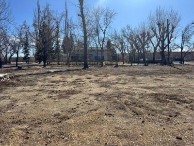 170 9 STREET NW, Drumheller, Alberta T0J 0Y1, Canada