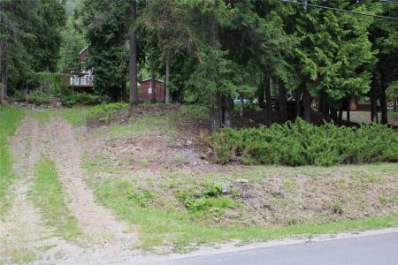 LOT 146 ESTATE DRIVE, Anglemont, 不列颠哥伦比亚省 V0E 1M8, 加拿大