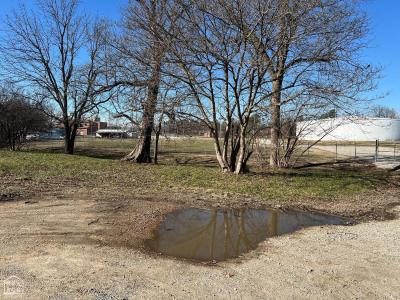 346 N 6th Avenue, Paragould, Arkansas 72450