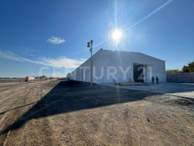 Altamira, Tamaulipas 89602, Mexico