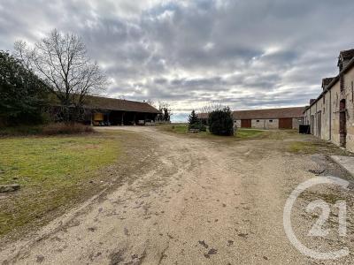 Baby, Île-de-France 77480, France