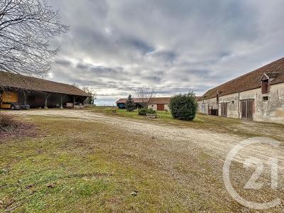 Baby, Île-de-France 77480, France