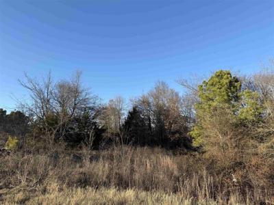 13358 Nance Ln, Lindale, Texas 75771, USA