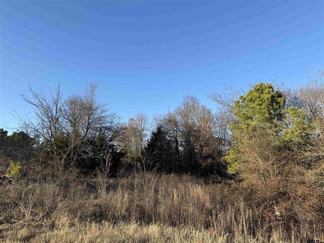 13358 Nance Ln (Lot 9), Lindale, Texas 75771