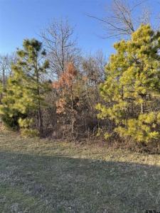13358 Nance Ln (Lot 9), Lindale, Texas 75771