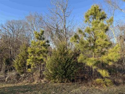 13358 Nance Ln (Lot 9), Lindale, Texas 75771