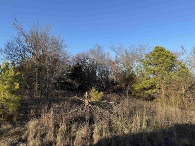 13358 Nance Ln (Lot 9), Lindale, Texas 75771