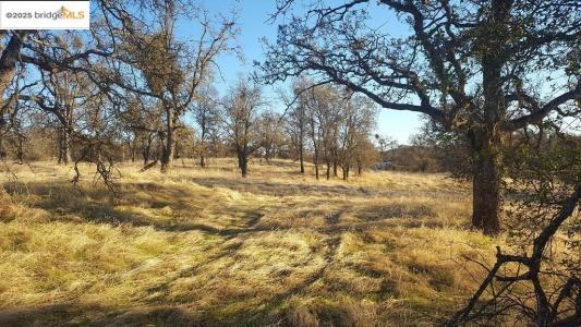 Lot 885 Ladera Way, La Grange, California 95329, HOA KỲ