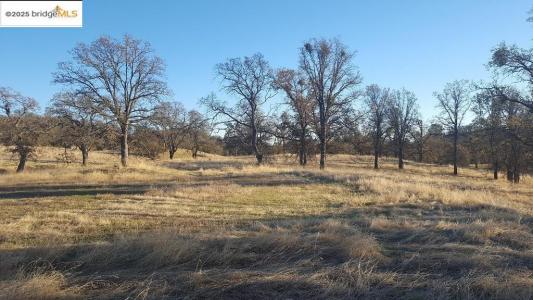 Lot 885 Ladera Way, La Grange, California 95329, HOA KỲ