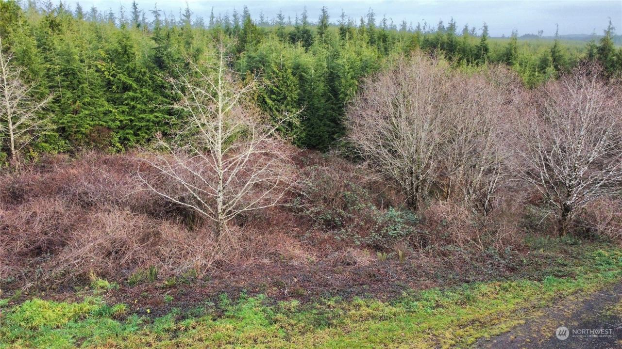 0 Alpine Lane, Hoquiam, Washington 98550, HOA KỲ