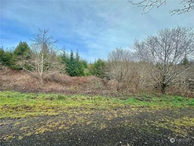 0 Alpine Lane, Hoquiam, Washington 98550, HOA KỲ