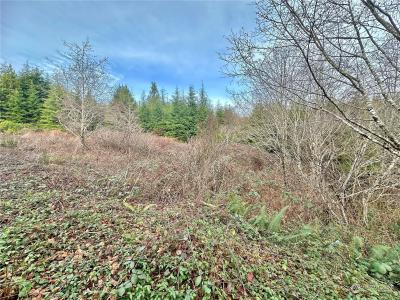 0 Alpine Lane, Hoquiam, Washington 98550, HOA KỲ