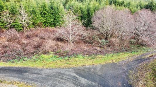 0 Alpine Lane, Hoquiam, Washington 98550, HOA KỲ