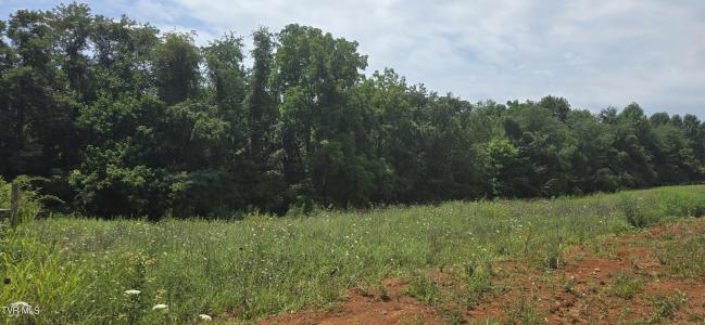 1 Redbird Ridge, Johnson City, 테네시 37604, 미국