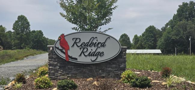 1 Redbird Ridge, Johnson City, 테네시 37604, 미국