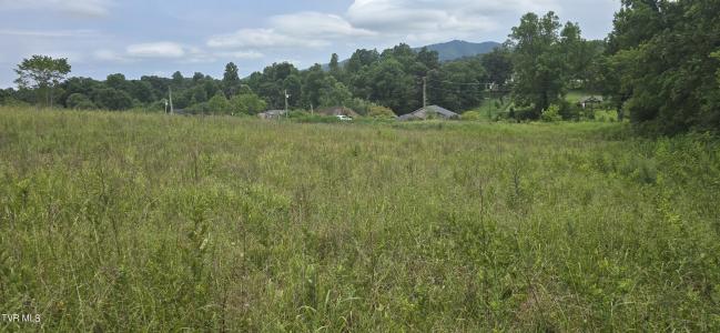 1 Redbird Ridge, Johnson City, 테네시 37604, 미국