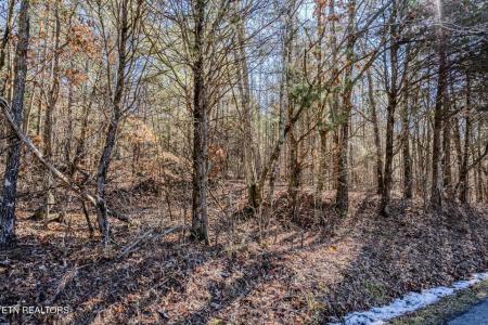 5 Acres S Nopone Valley Road, Decatur, تينيسي 37322, الولايات المتحدة