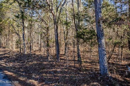 5 Acres S Nopone Valley Road, Decatur, تينيسي 37322, الولايات المتحدة