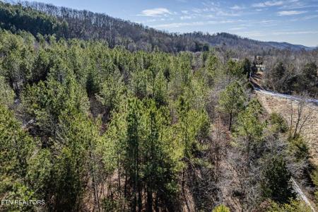 5 Acres S Nopone Valley Road, Decatur, تينيسي 37322, الولايات المتحدة