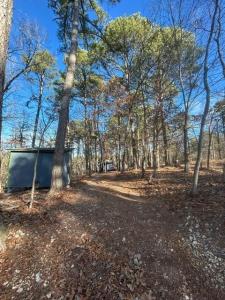 391 CR 1486, Eureka Springs, Arkansas 72632, USA
