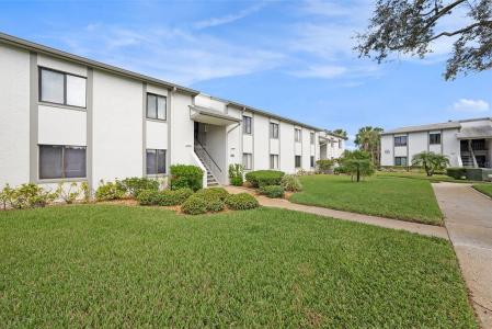 124 W Cypress Court, Oldsmar, Florida 34677
