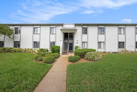 124 W Cypress Court, Oldsmar, Florida 34677