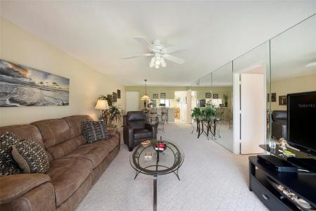 124 W Cypress Court, Oldsmar, Florida 34677
