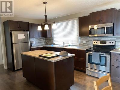 1009 2 STREET SE, Drumheller, אלברטה T0J 0Y6, קנדה 