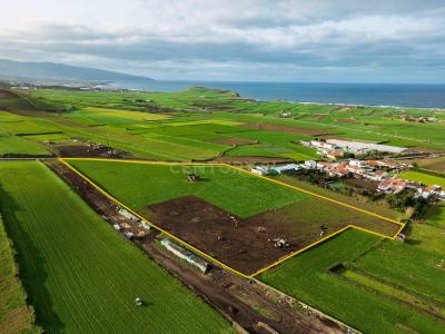 Ribeira Grande, São Miguel 9600-411, Portugal