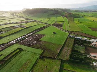 Ribeira Grande, São Miguel 9600-411, Portugal