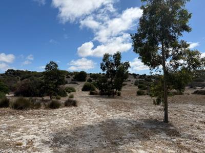 Lot 102 Old Salt Lake Road, Haines, SA 5223, Australia
