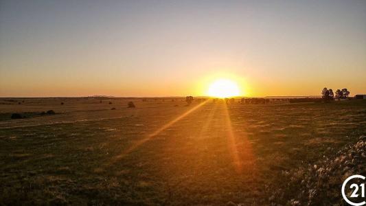 17 Scenic Drive, Forbes, NSW 2871, Australia