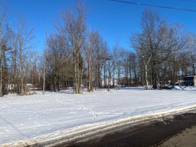 7326 State Route 19 Unit 6, Lots 90,91,92, Mount Gilead, Ohio 43338, Stati Uniti