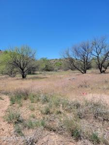 E Baffert Drive, Nogales, Arizona 85621, USA