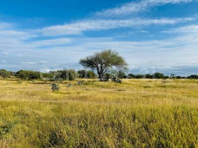 Banda Oaxaca y Rancho nuevo 157 Z-Z P1/2,, San Miguel De Allende, Guanajuato 37896, México