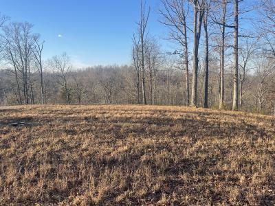 Lot 91 Cumberland Shores , Monticello, Kentucky 42633, HOA KỲ