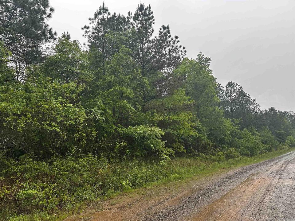 00 Fabre, Bonnerdale, Arkansas 71933, USA