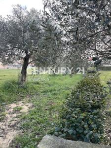 Biograd na Moru, Biograd Na Moru, Zadarska Županija 23210, كرواتيا