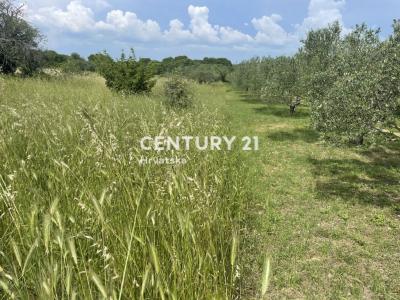 Sveti Filip i Jakov, Sveti Filip I Jakov, Zadarska Županija 23207, Croácia