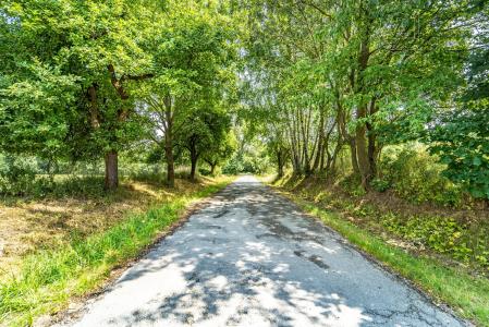 Bělá Pod Bezdězem, Mladá Boleslav, Czech Republic