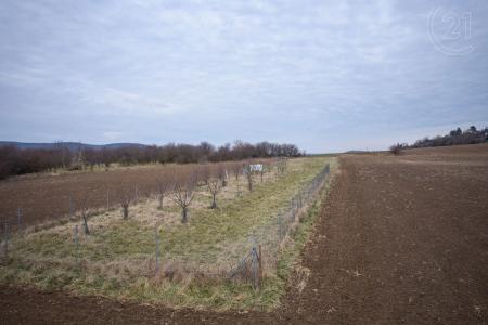 Palcary, Brno, Brno-město, 捷克共和國