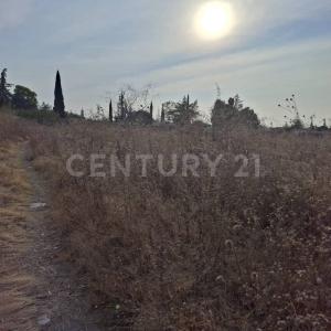 Colonia Ejidos Tecámac sin numero,, Tecámac, 멕시코 주 55748, 멕시코